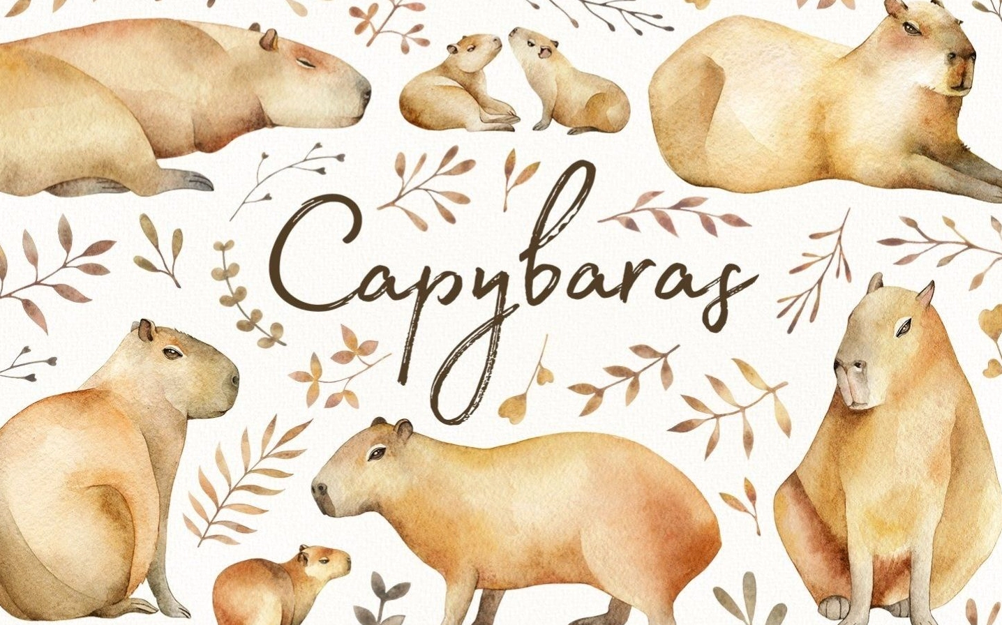 Hình nền Capybara dễ thương đáng yêu