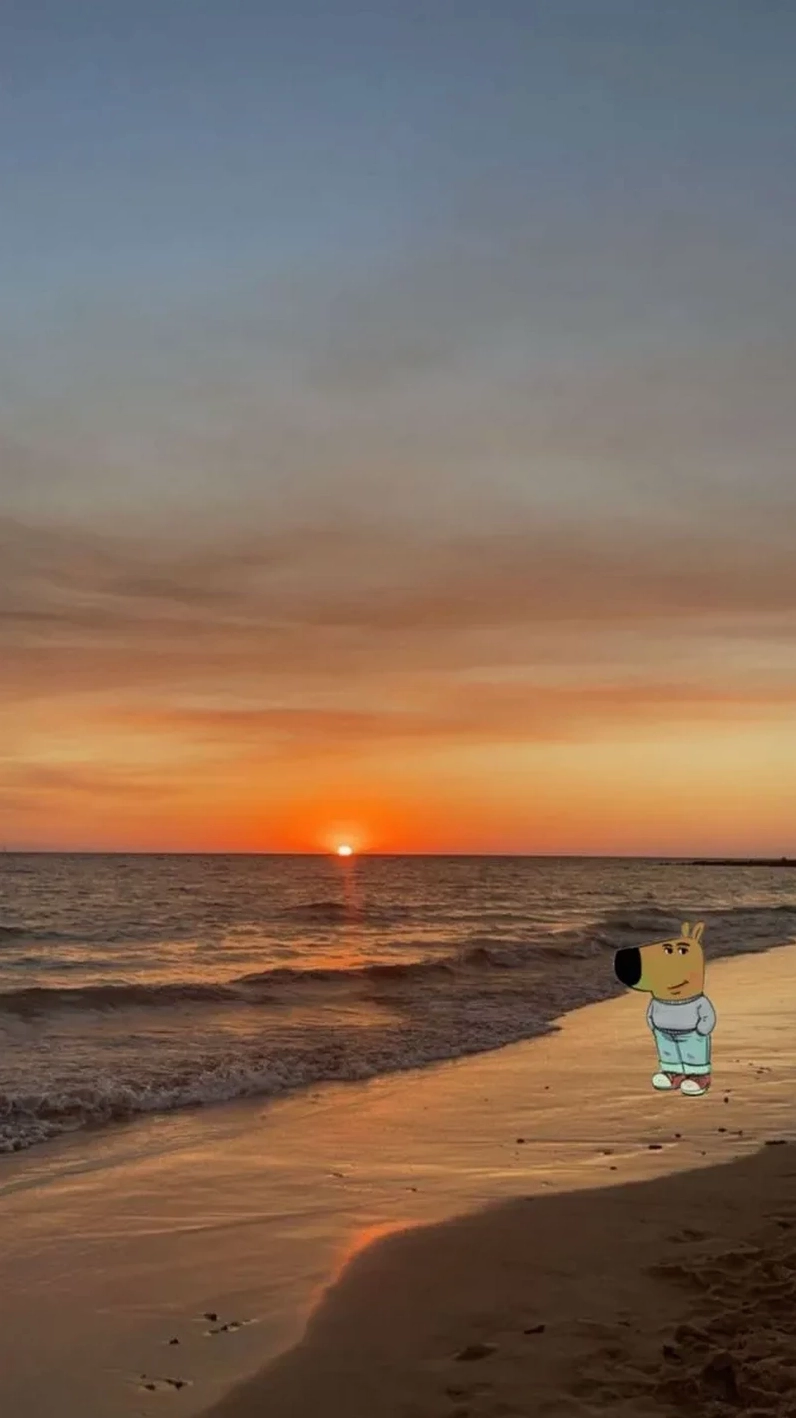 Hình nền chill guy số 27 cười xỉu