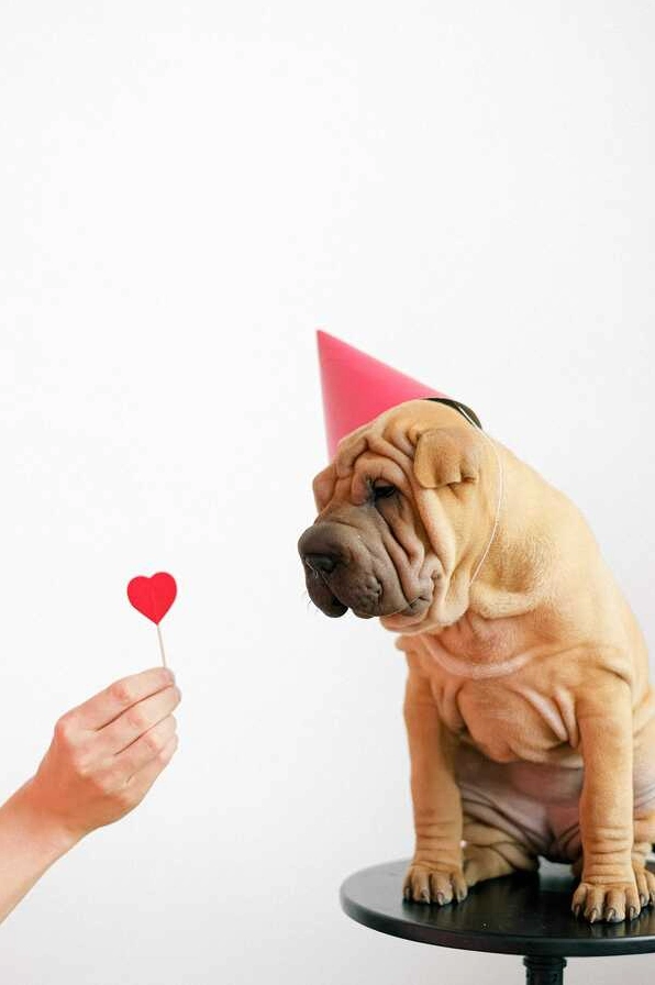 Hình nền cute phong cách tối giản nhưng vô cùng thu hút