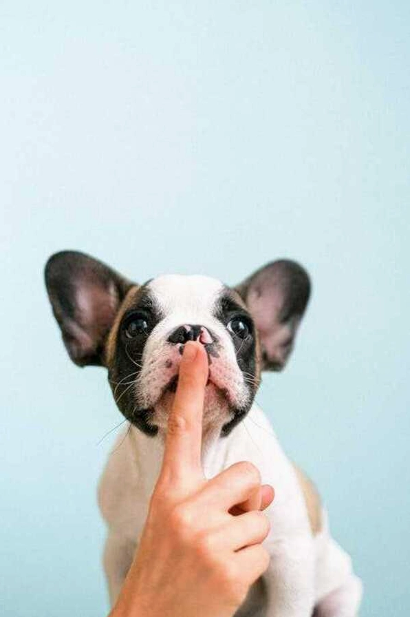 Hình nền de thương nhất thế giới mang lại cảm giác bình yên