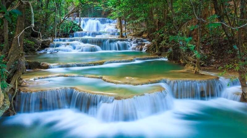 Hình nền đen trắng thiên nhiên dòng suối chảy róc rách giữa khu rừng