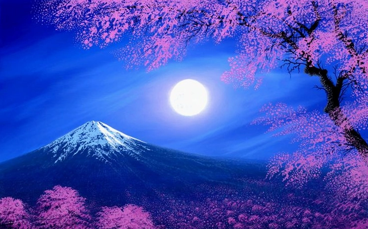 Hình nền hoa anh đào nở rộ rực rỡ sắc thắm trong ánh nắng ban mai