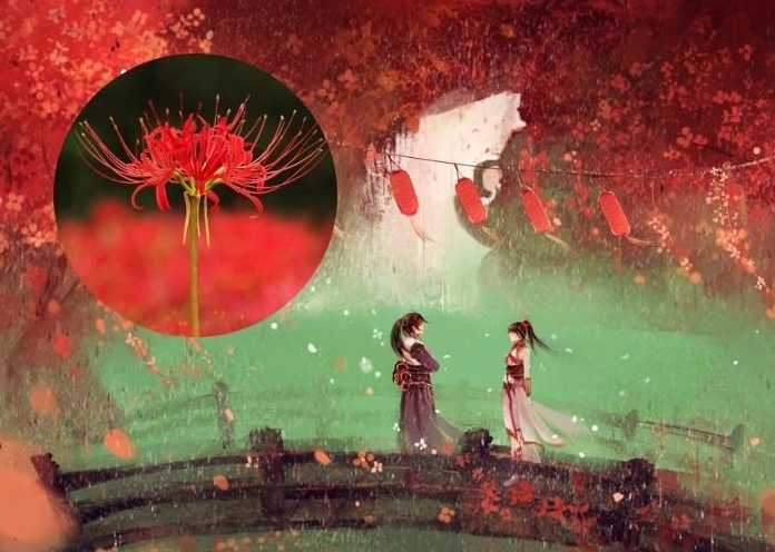 Hình nền hoa bỉ ngạn đỏ rực rỡ mạn châu sa hoa tuyệt đẹp sắc nét