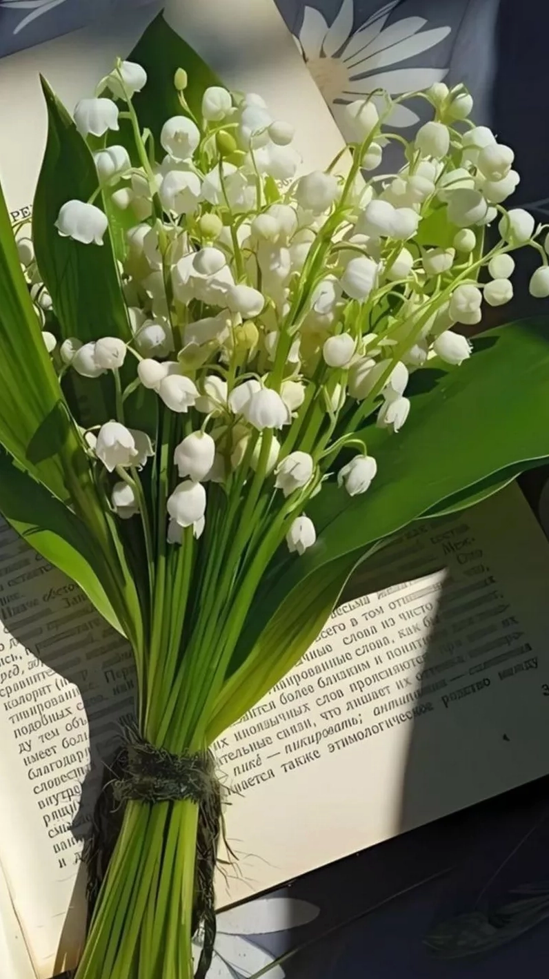 Hình nền hoa lan chuông tuyệt đẹp chất lượng full hd giúp điện thoại thêm phần sang trọng