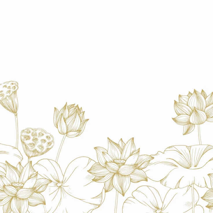 Hình nền hoa sen phật giáo màu vàng rực rỡ cùng vỏ hạt và lá minh họa vẽ tay sắc nét
