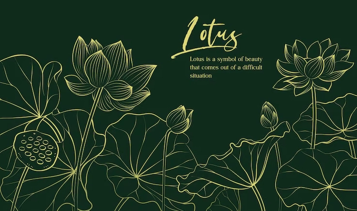 Hình nền hoa sen trắng dạng vector minh họa tuyến tính trang nhã vẽ tay trên nền tối