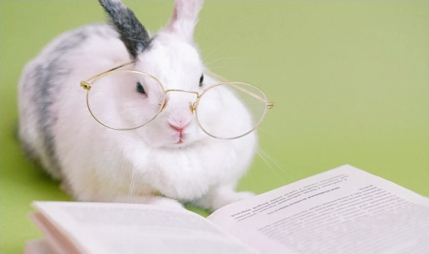 Hình nền iPad cute dễ thương với họa tiết tối giản