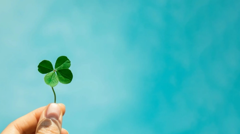 Hình nền máy tính cỏ 4 lá cực đẹp mang lại may mắn và bình an