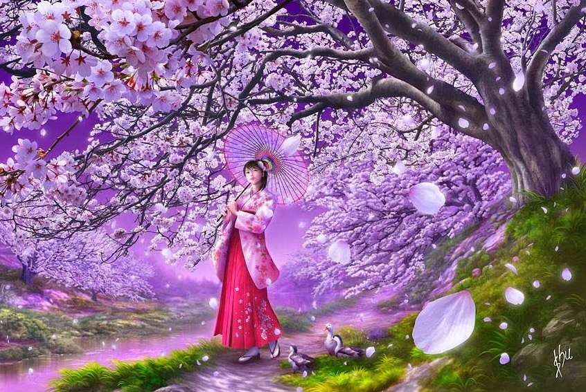 Hình nền máy tính hoa anh đào cận cảnh từng cánh hoa mỏng manh sắc nét