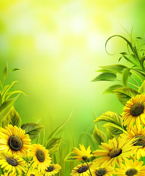 Hình nền minh họa hoa hướng dương và cây cỏ xanh mát