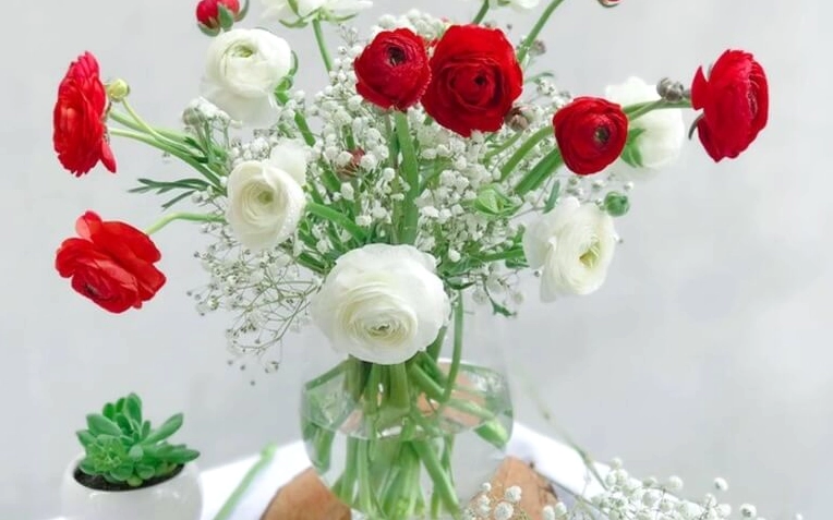 Hình nền những bông hoa mao lương tuyệt đẹp