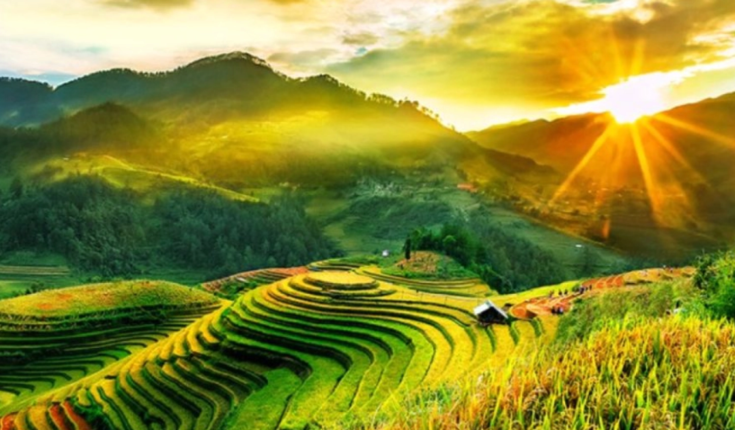 Hình nền phong cảnh thiên nhiên 4k ruộng bậc thang uốn lượn quanh núi