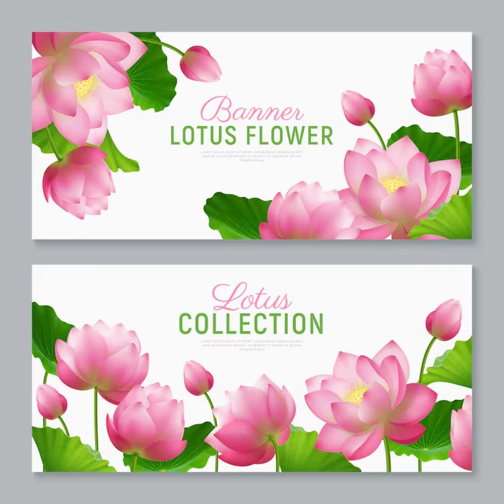 Hình nền vector biểu ngữ hoa sen thực tế tuyệt đẹp độ phân giải cao
