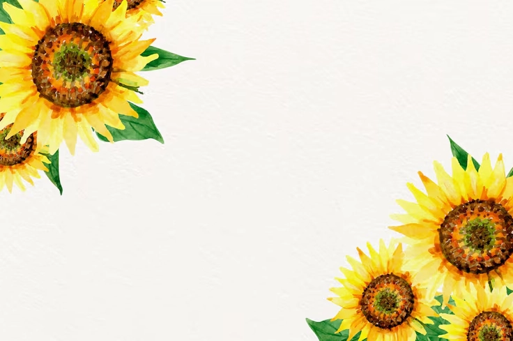 Hình nền viền hoa hướng dương màu nước vẽ tay sắc nét