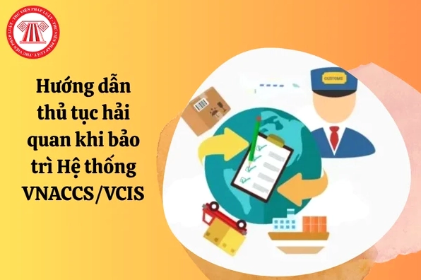 Hướng dẫn thực hiện thủ tục hải quan trên hệ thống VNACCS/VCIS