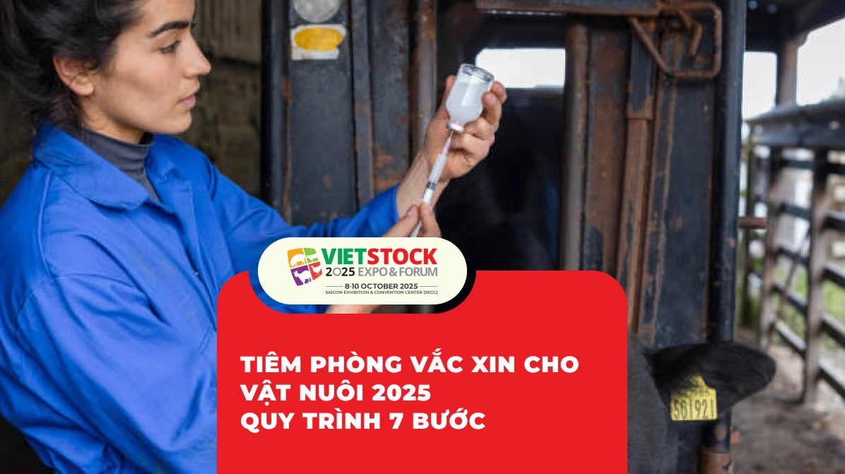 Hướng dẫn tiêm phòng vắc xin cho vật nuôi tại Việt Nam 2025 quy trình 7 bước và câu hỏi thường gặp