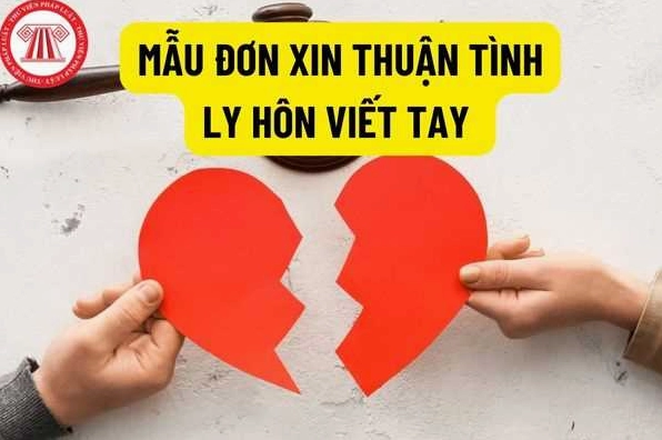 Hướng dẫn viết đơn xin thuận tình ly hôn viết tay
