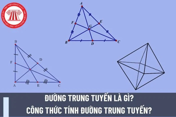 Khái niệm đường trung tuyến là gì và công thức tính