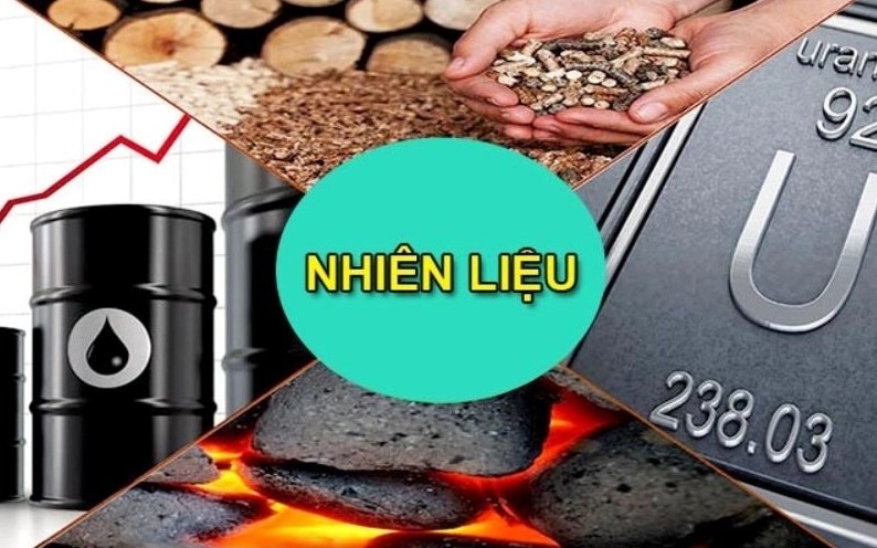 Khái niệm nhiên liệu thường bị nhầm lẫn với nguyên liệu