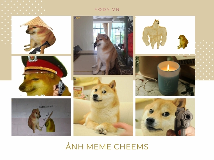 Khái niệm về meme Cheems