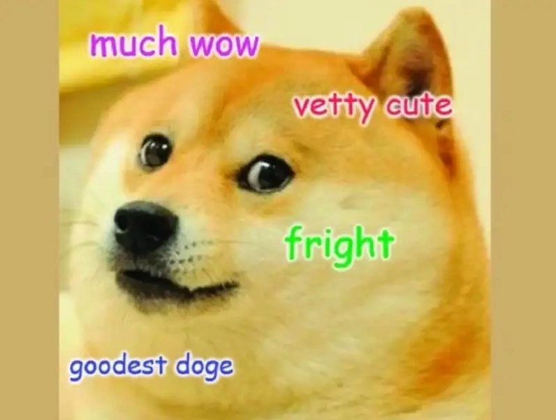 Khám phá ảnh chó shiba meme hài nhất mạng xã hội