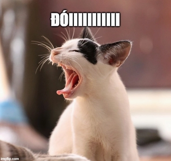 Khi meme trở thành bữa ăn meme há miệng ăn