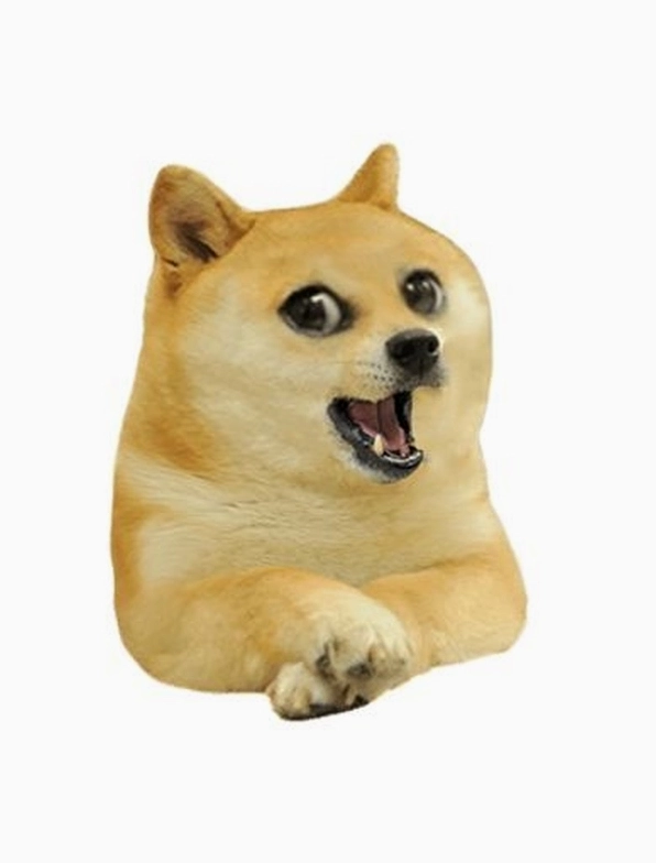 Khó nhịn cười với meme chó há miệng ngáo ngơ