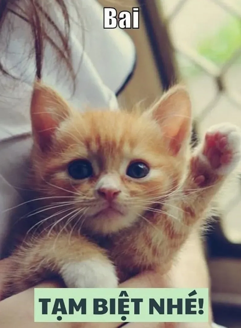Không ai nỡ đi khi bạn gửi chào tạm biệt cute thế này