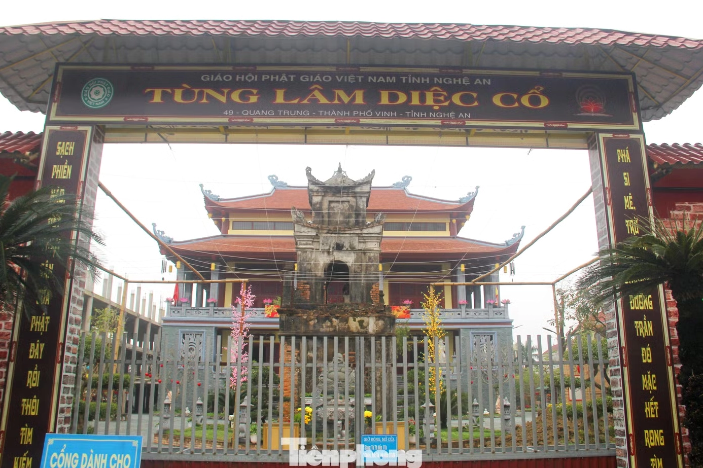 Không gian thanh tịnh của ngôi chùa Tùng Lâm Diệc Cổ tọa lạc trên đường Quang Trung