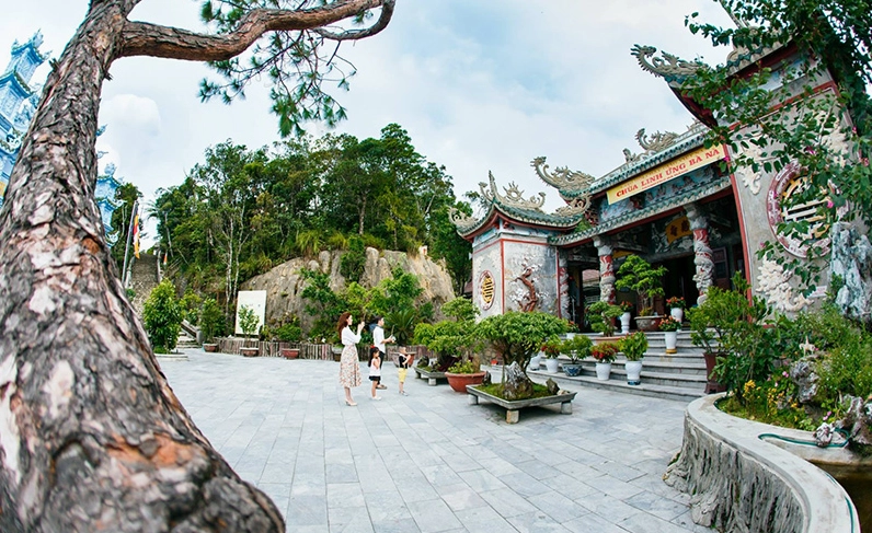 Không gian thiên nhiên xanh mát và trong lành bao quanh khuôn viên tự viện