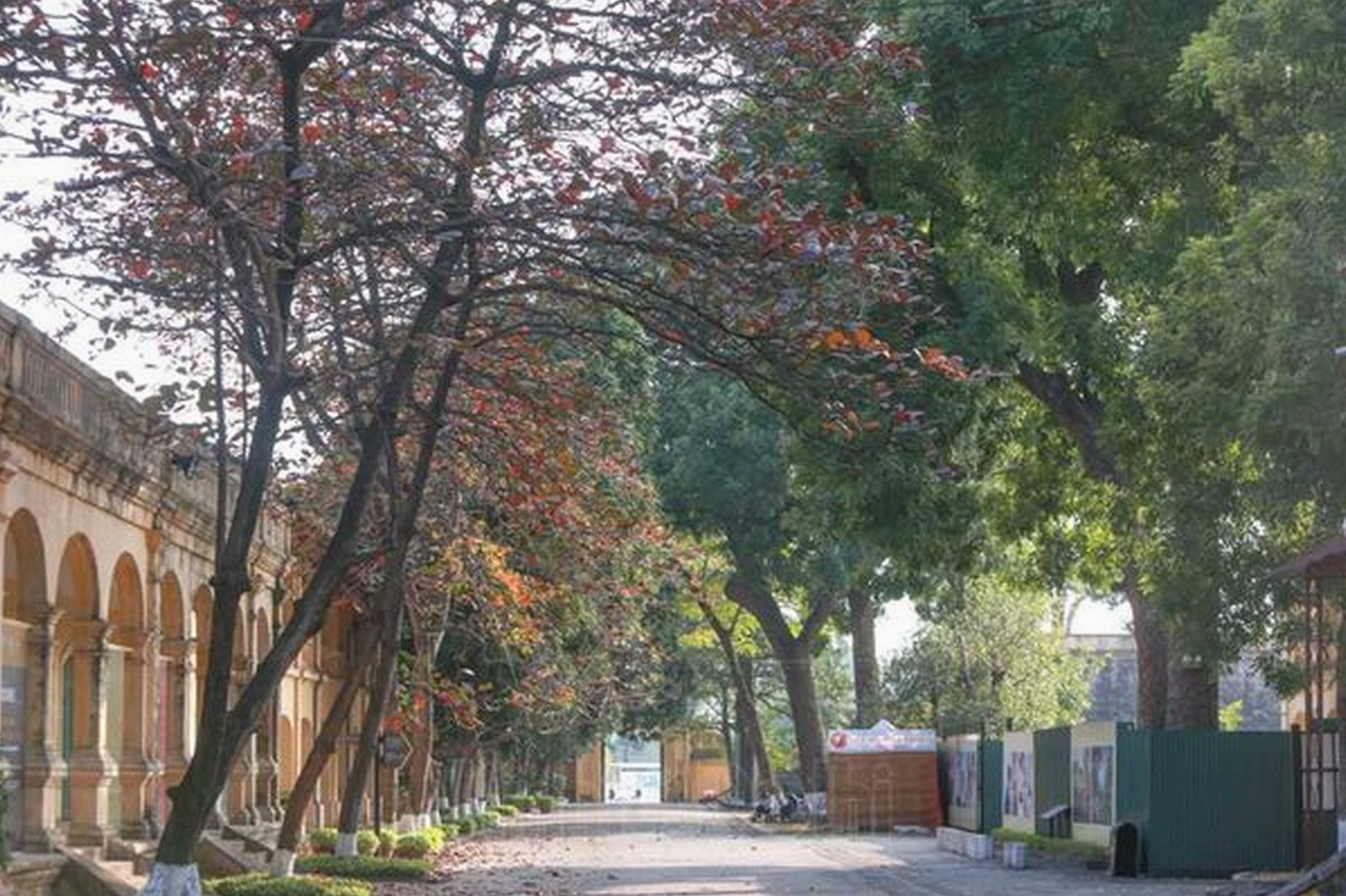Không khí nhộn nhịp của Hà Thành vào những ngày đông