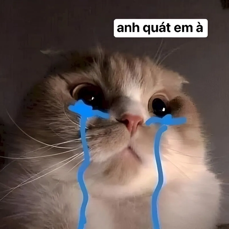 Không thể thiếu meme xin lỗi cute trong tin nhắn dỗ người yêu