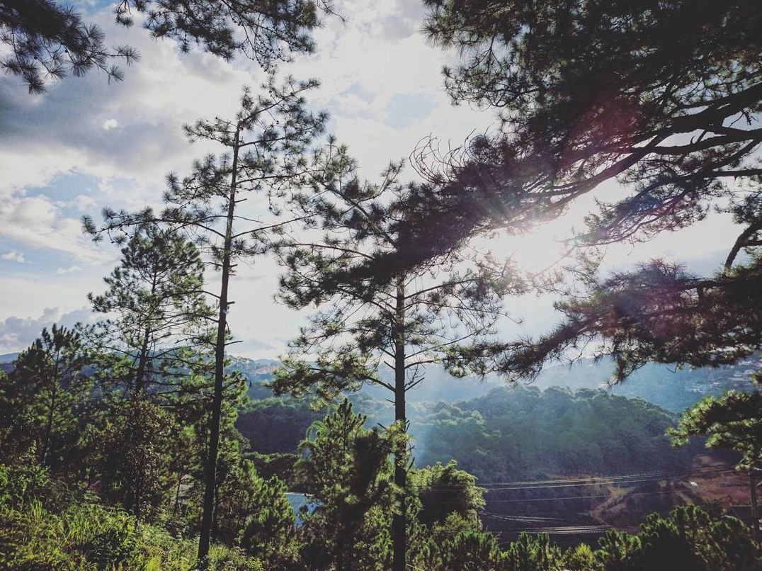 Khu vực dâng hương luôn được dọn dẹp sạch sẽ và giữ gìn sự trang nghiêm