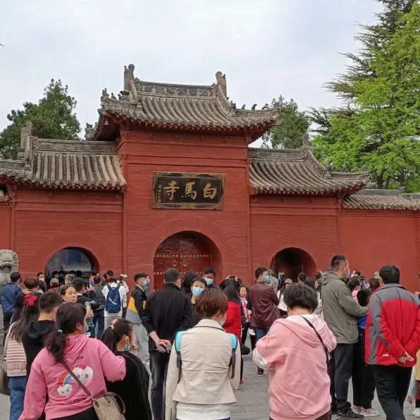 Khung cảnh bình yên bên trong khuôn viên Bạch Mã tự linh thiêng