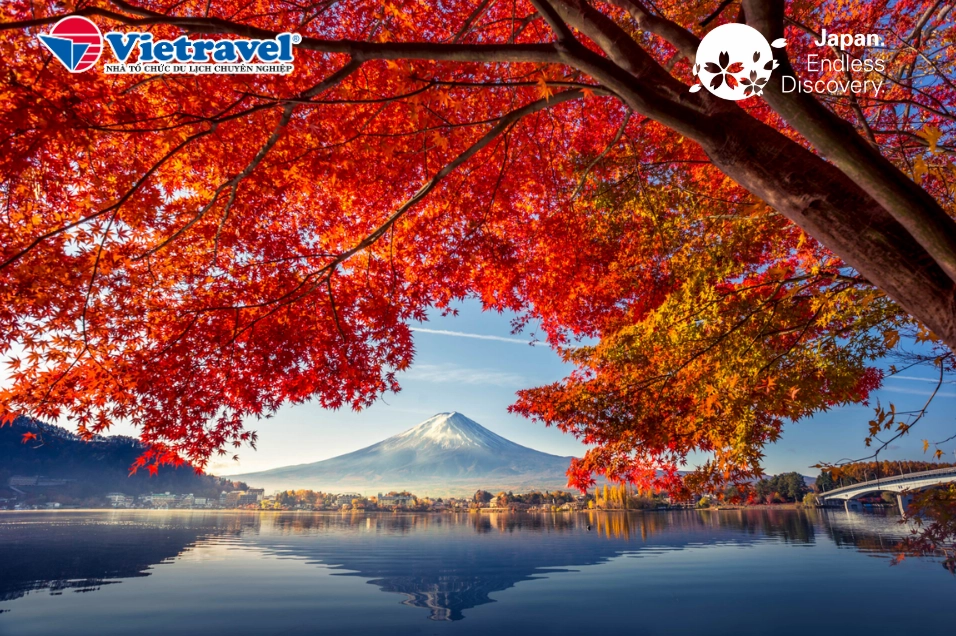 Khung cảnh bình yên tĩnh lặng mang đậm màu sắc tâm linh tại khu vực đền thờ