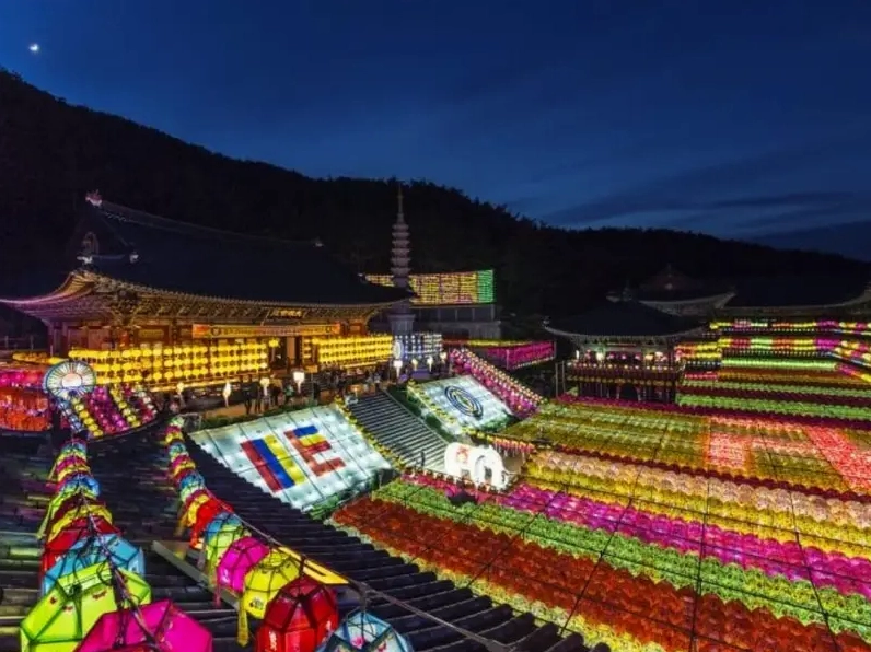 Khung cảnh rực rỡ của Lễ hội đèn lồng hoa sen tại chùa Jogyesa