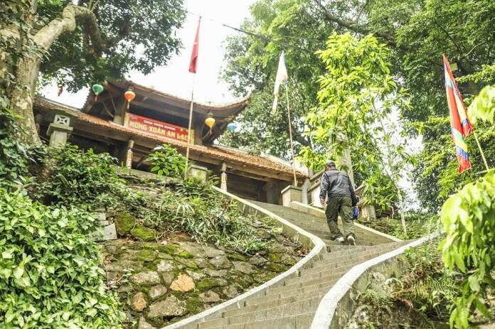 Khung cảnh Rừng cây Đền Hùng minh họa không gian sống