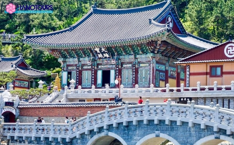 Khung cảnh thơ mộng của chùa Haedong Yonggungsa vào mùa xuân rực rỡ