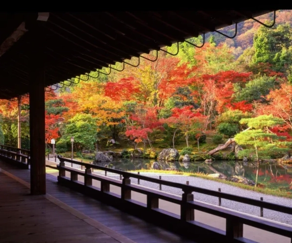 Kiến trúc tinh xảo của ngôi thiền tự nổi bật giữa thiên nhiên tươi đẹp