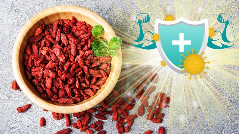 Kỷ tử chứa các chất chống oxy hóa giúp hệ miễn dịch của bạn phát triển mạnh mẽ