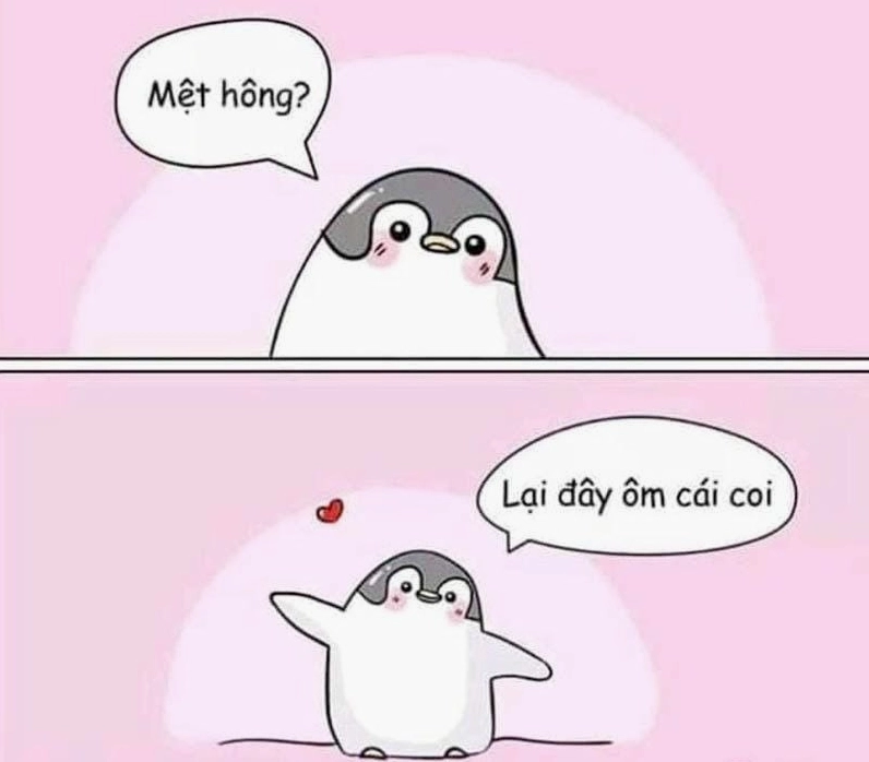 Lạc lối trong thế giới meme an ủi bạn bè