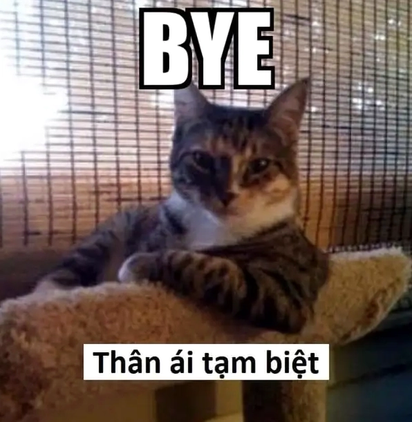 Lời cáo biệt bá đạo nhất mạng là cáo từ meme