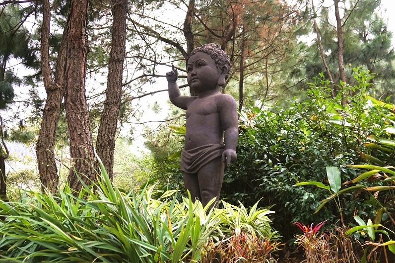 Lối đi dạo thanh bình ngập tràn sắc xanh tại khuôn viên chùa