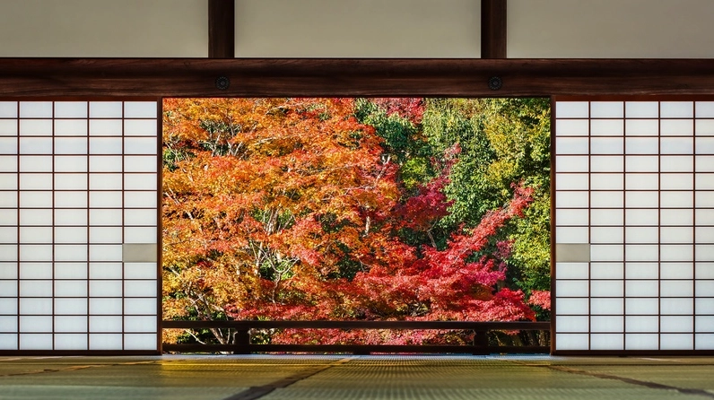 Lối đi dạo thanh tịnh dẫn vào khu vườn thiền Sogenchi trong khuôn viên chùa