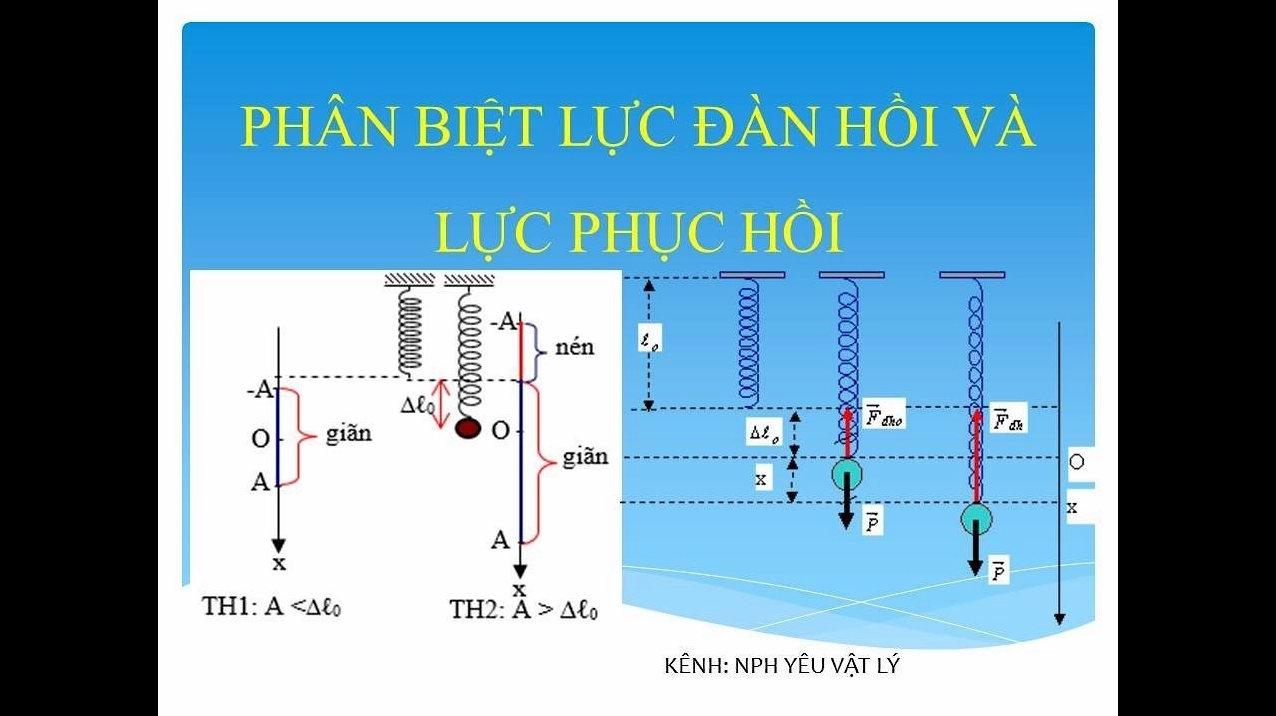 Lực đàn hồi và các khái niệm liên quan trong vật lý