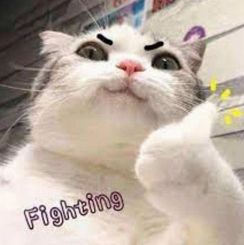 Lý do hình ảnh cố lên meme được yêu thích