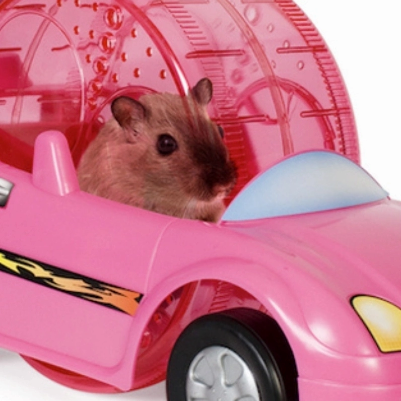 Màu hồng nhưng không mộng mơ trong meme chuột hồng