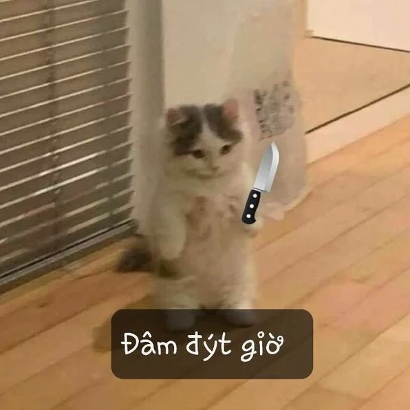 Me me mèo cầm dao
