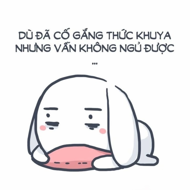 meme buồn ngủ hài hước khi cơn buồn ngủ ập đến