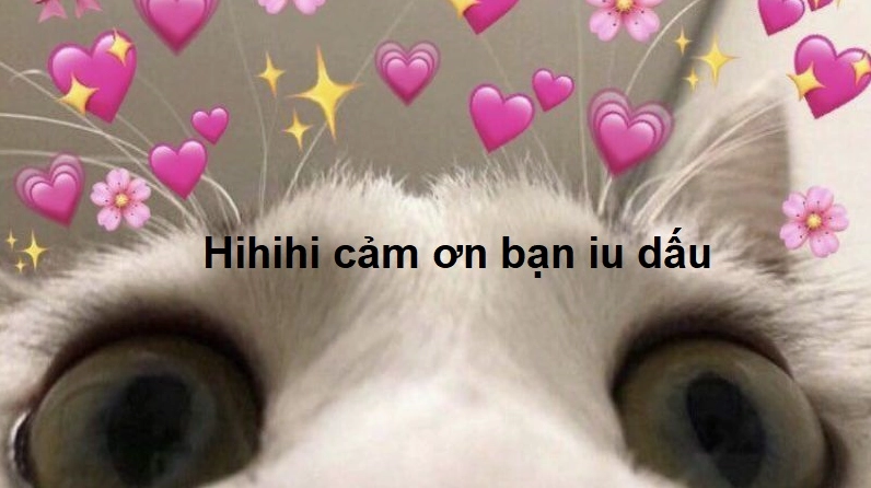 Meme cảm ơn bạn iu dấu sến súa